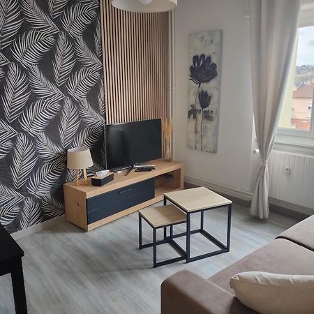 L'Europ'Appart : Gare, Center Parcs, Parc St Croix Sarrebourg Luaran gambar